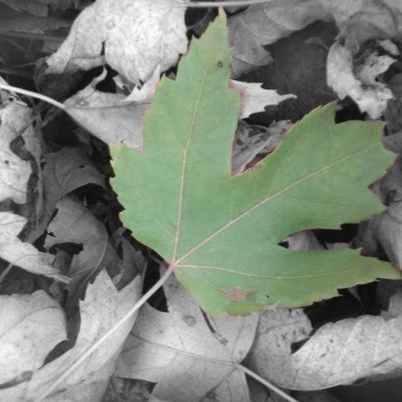 Meet your Posher, Danielle - Picture 1 of 1